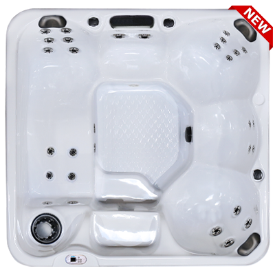 Hawaiian Plus PPZ-628L hot tubs for sale in hot tubs spas for sale Waco