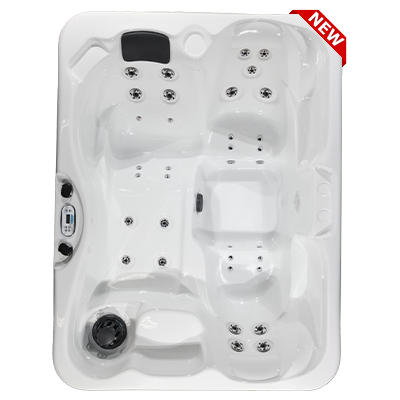 Kona PZ-535L hot tubs for sale in hot tubs spas for sale Waco